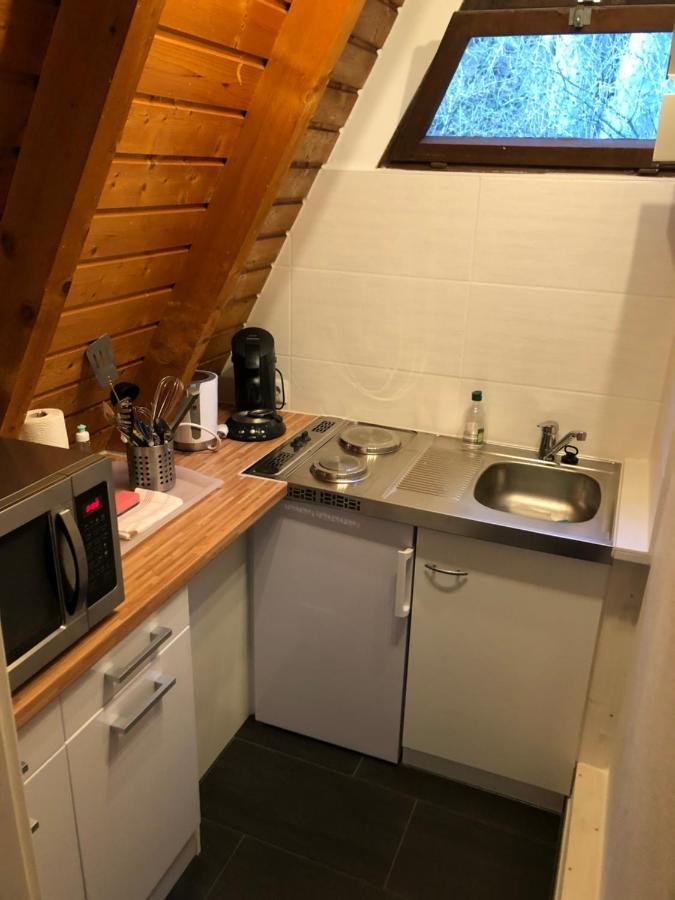 Ferienhaeuser Am Waldschloesschen Lautenthal Eksteriør bilde
