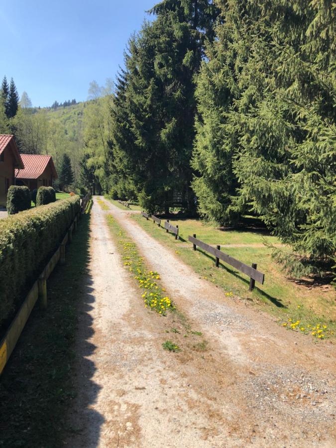 Ferienhaeuser Am Waldschloesschen Lautenthal Eksteriør bilde