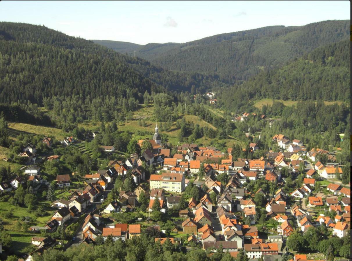 Ferienhaeuser Am Waldschloesschen Lautenthal Eksteriør bilde