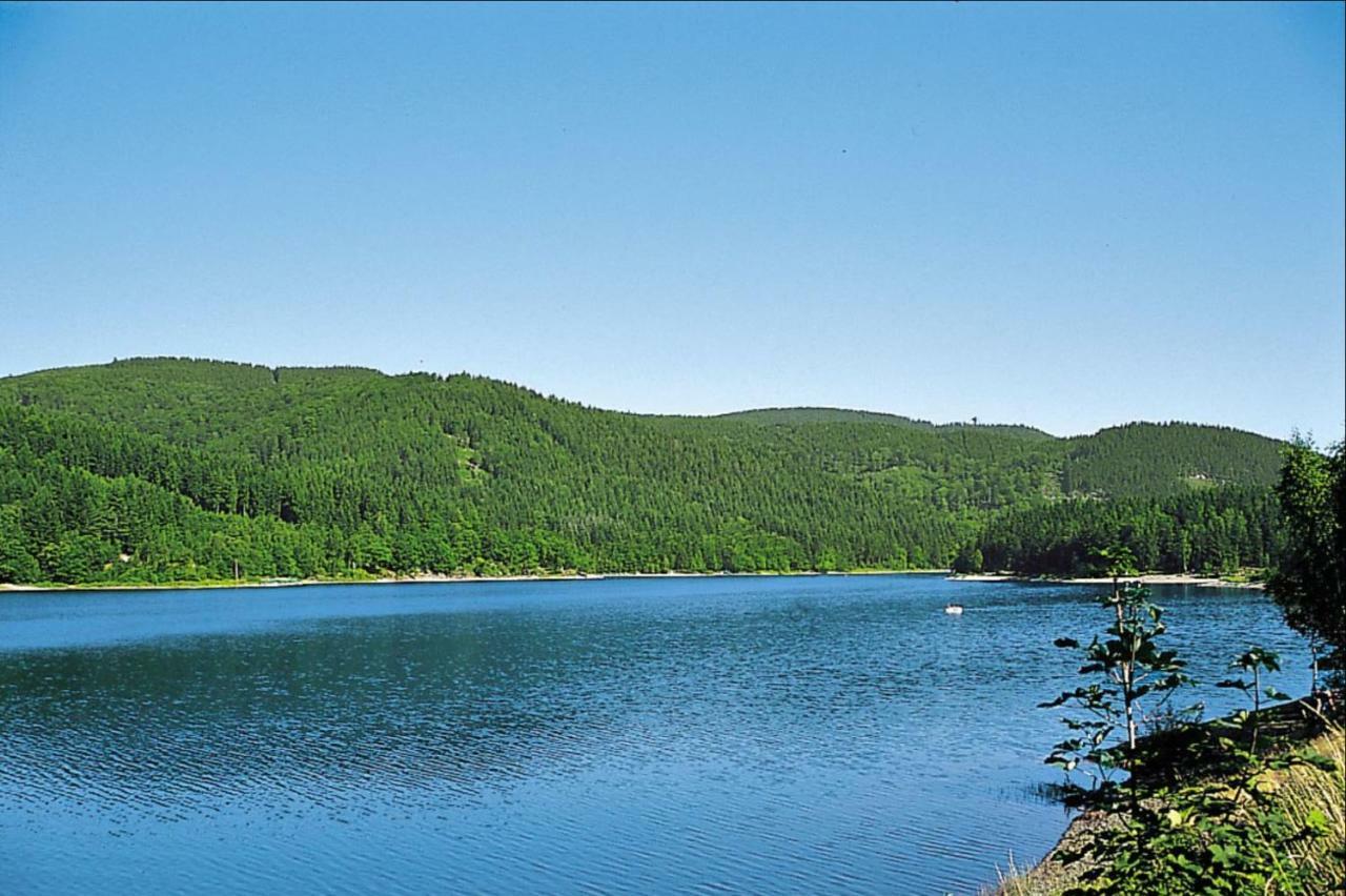Ferienhaeuser Am Waldschloesschen Lautenthal Eksteriør bilde